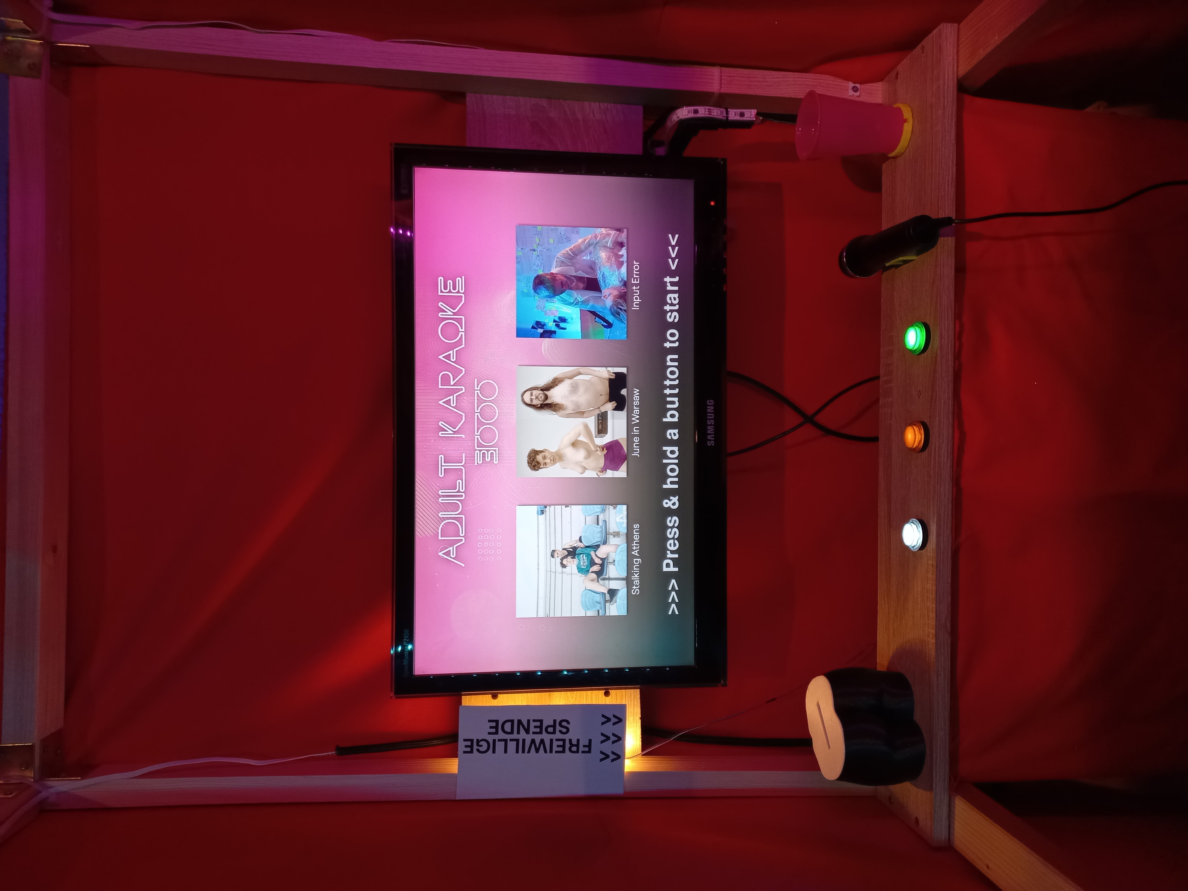 Adult Karaoke 3000