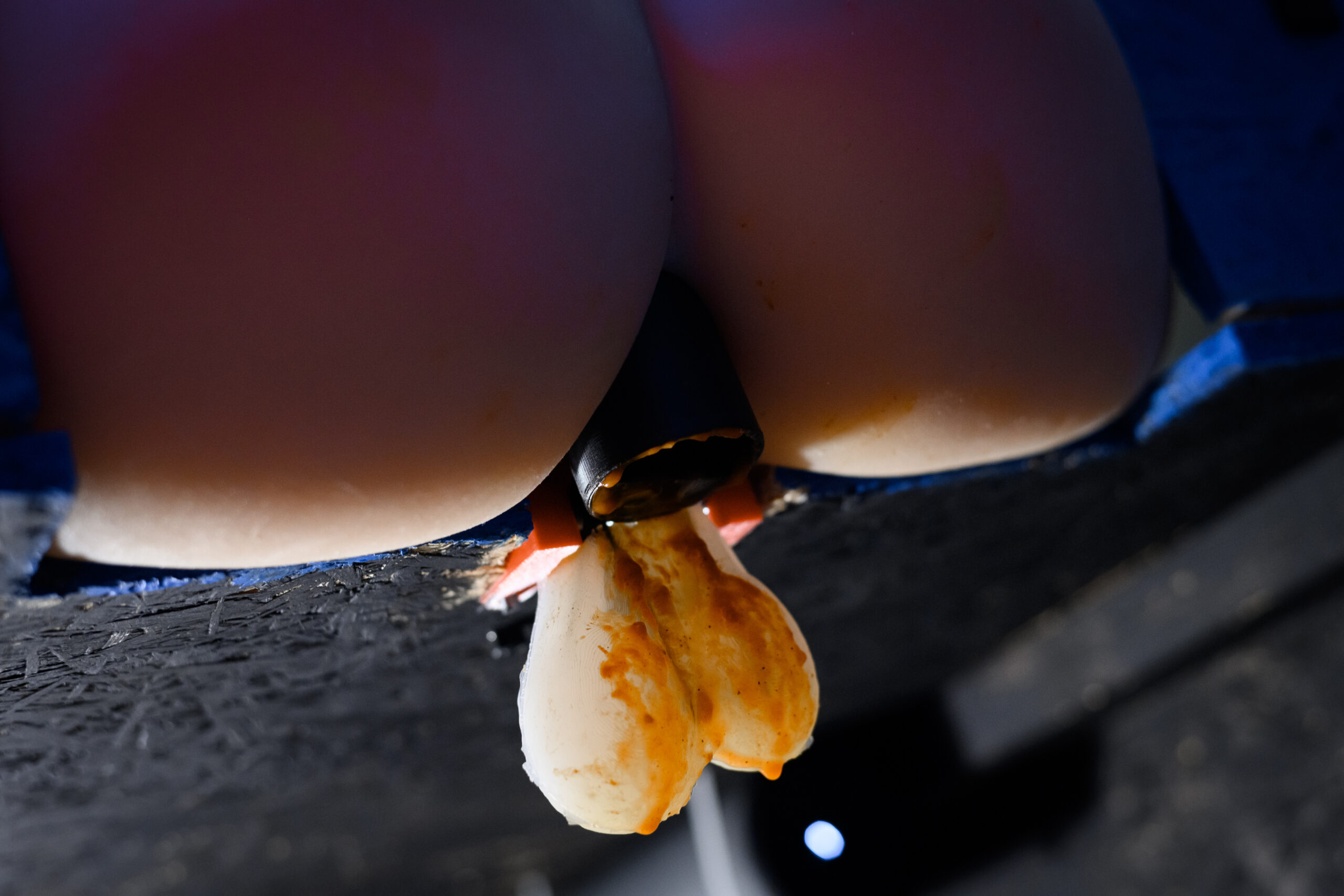 Roboexotica 2025 (Kunsttankstelle Ottakring, 11. – 14.12.2025)