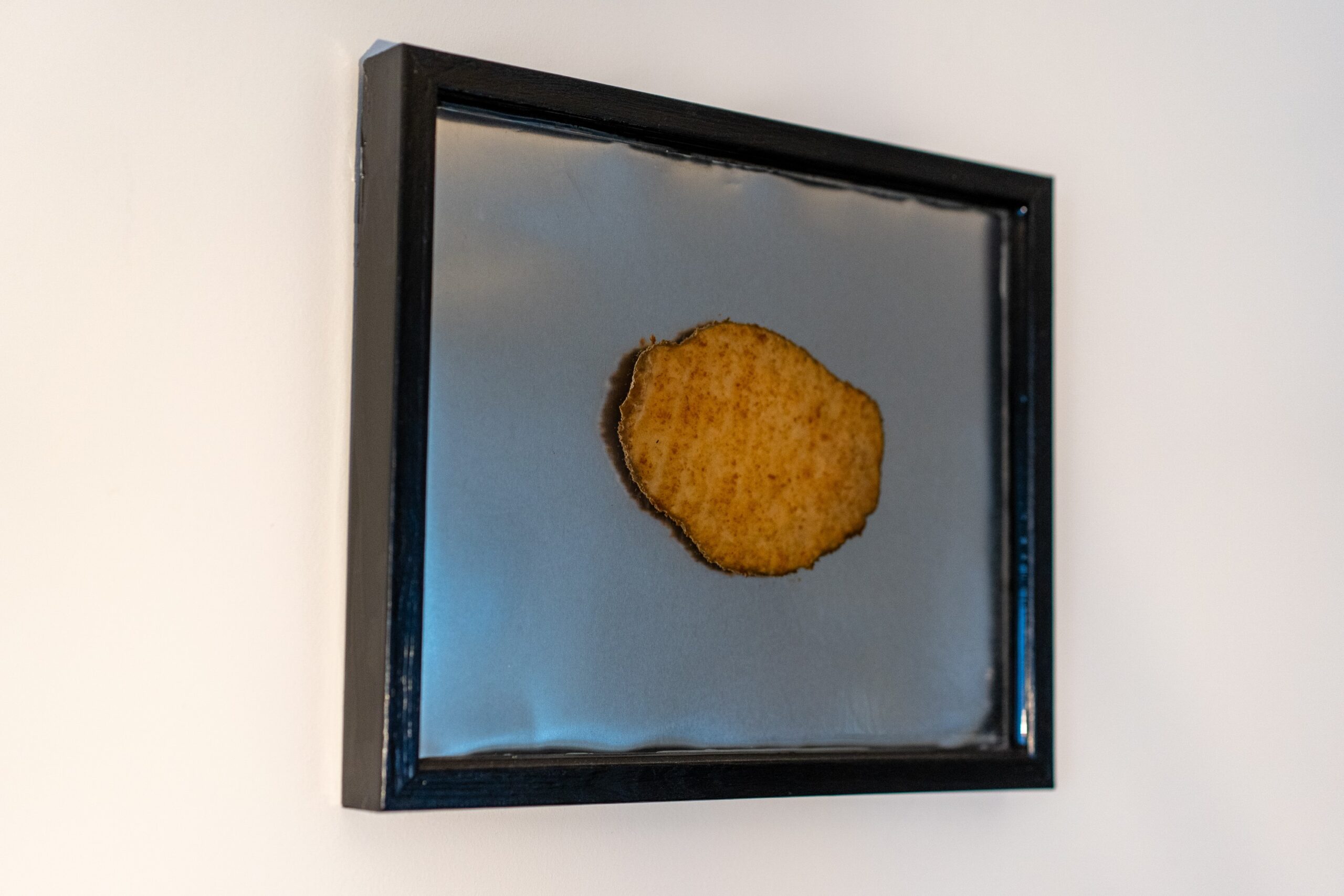 Die Schnitzel